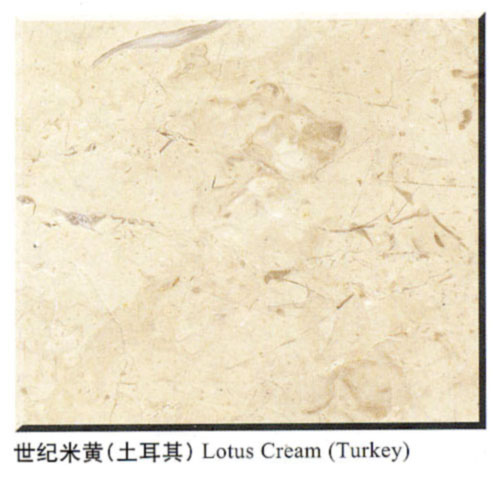 Lotus Cream