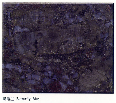 Butterfly Blue
