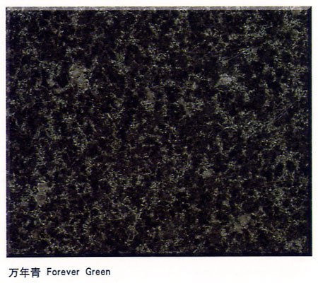 Forever Green