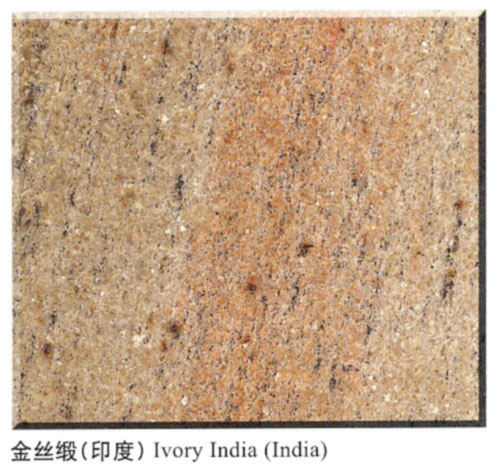 Project  CTS--Ivory India