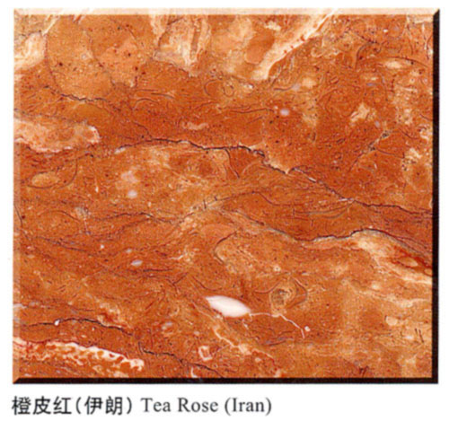 Project  CTS--Tea Rose