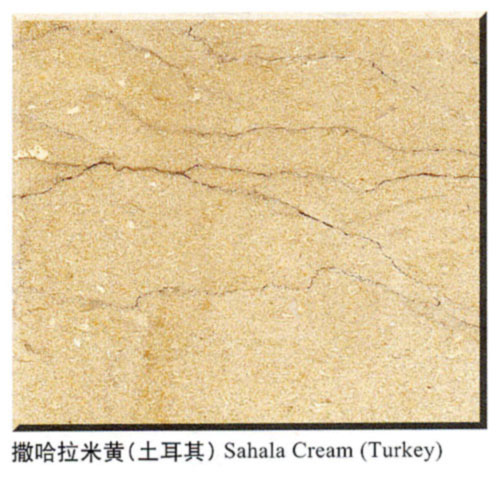 Project  CTS--Sahala Cream